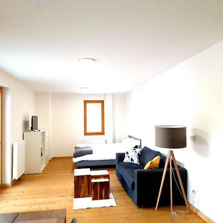 Studio Apartman 22, Rezidence Javor Железна-Руда Экстерьер фото