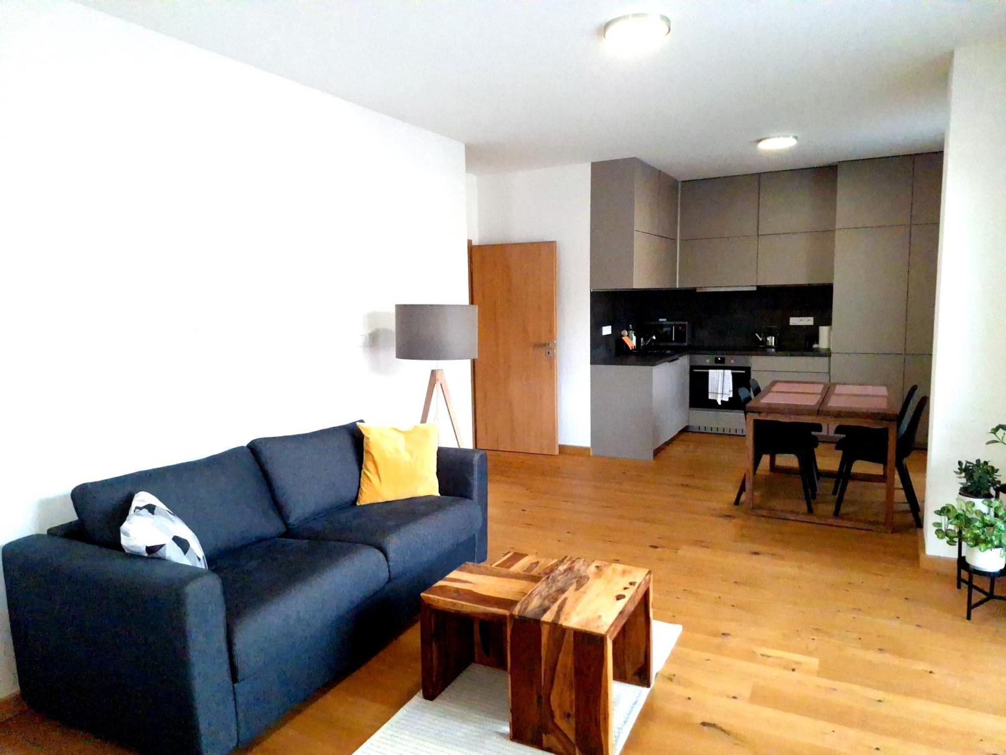 Studio Apartman 22, Rezidence Javor Железна-Руда Экстерьер фото